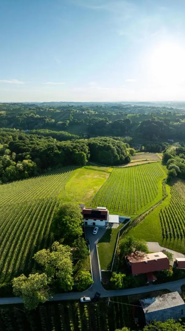 Pogled iz zraka na kuću okruženu vinogradima i šumom